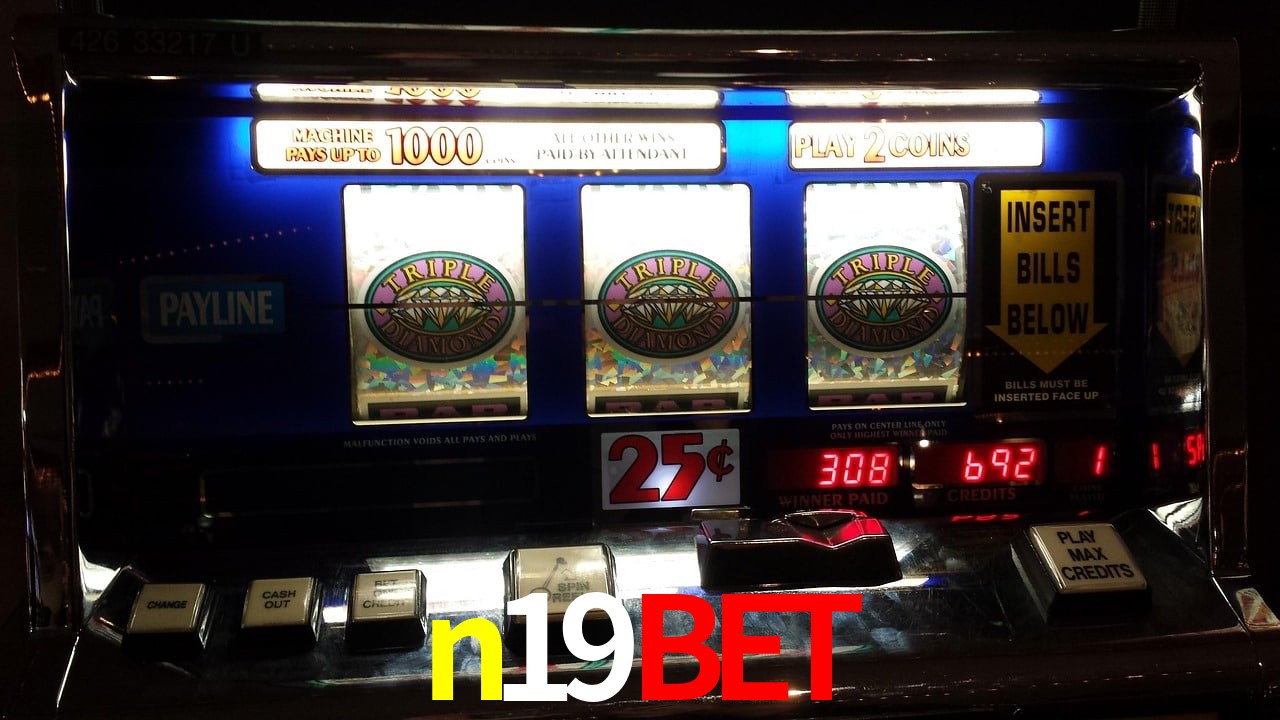 Sports Statistics n19bet